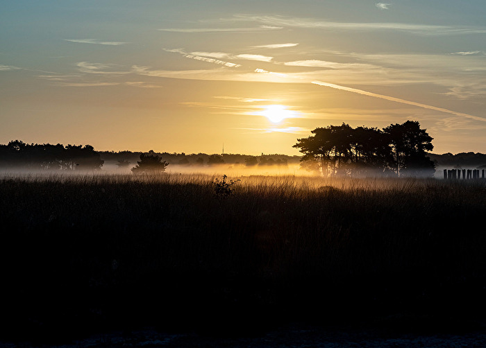 Regte heide sunrise