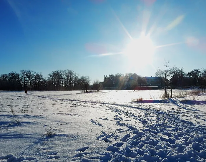Schneelandschaft