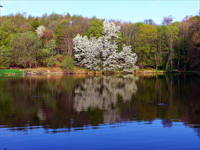 die Natur legt ihr "Frühlingskleid" an