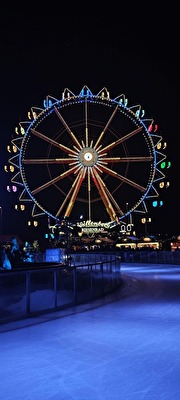 hauptstadt berlin weihnachtsmarkt bunt alex rotesrathaus eisbahn riesenrad