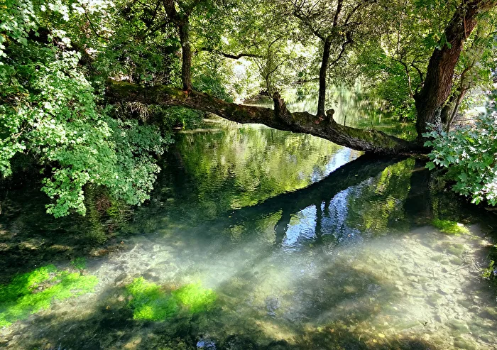 Das Grün im Grün