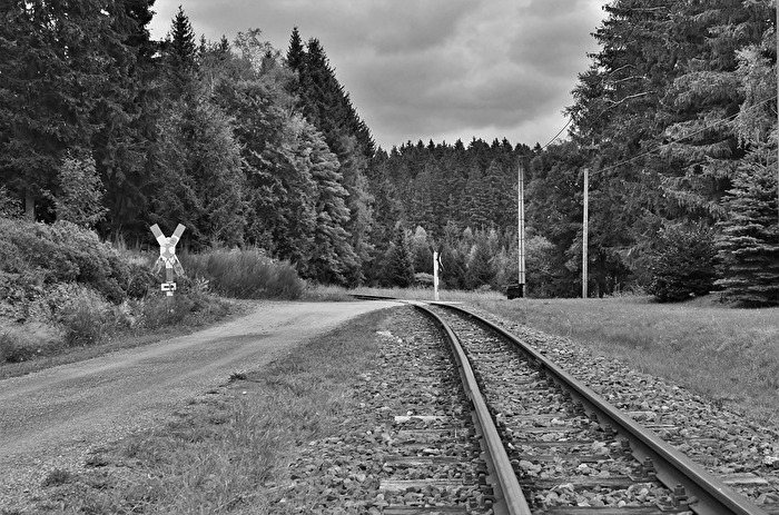 " Zwei Wege - ein Ziel "