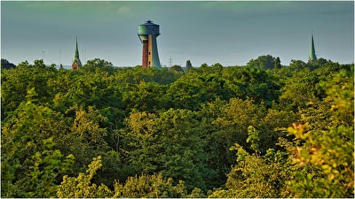 Grüne Lunge Ruhrgebiet !