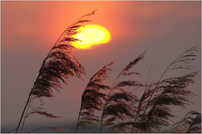 When the wind tells
