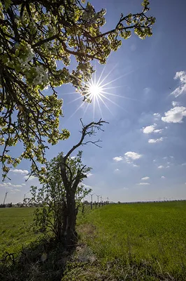 Unterwegs im Oderbruch