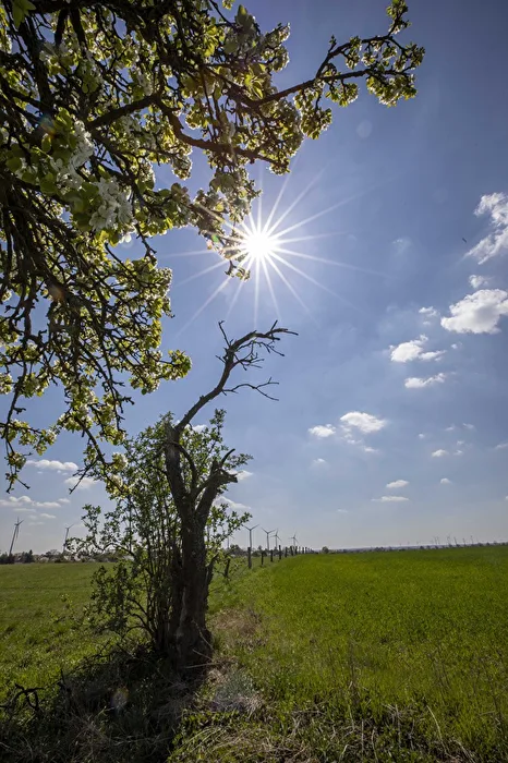 Unterwegs im Oderbruch