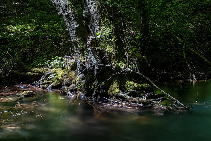 Immer genug Wasser