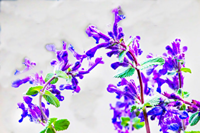 Toscanablau mit etwas Grün