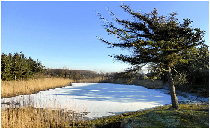 Der erste kleine Frost...