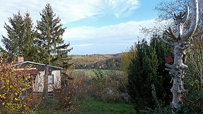 Schrebergarten im Spätherbst