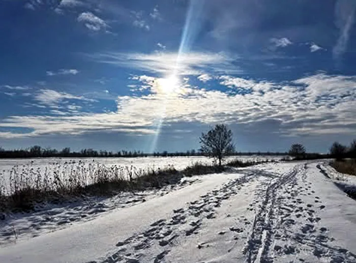 Winter