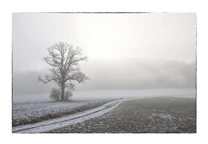this morning