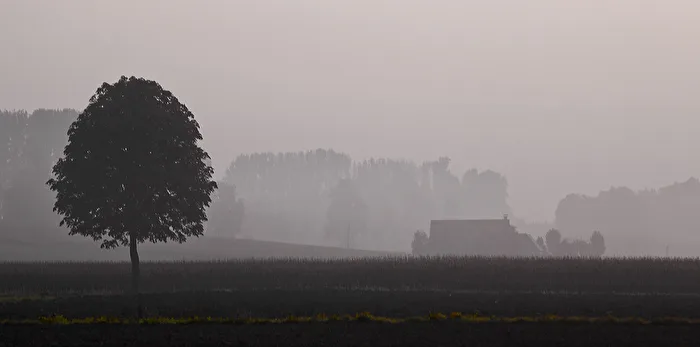 MORGENSTIMMUNG