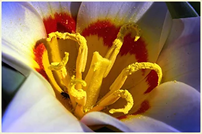 ohne Titel
