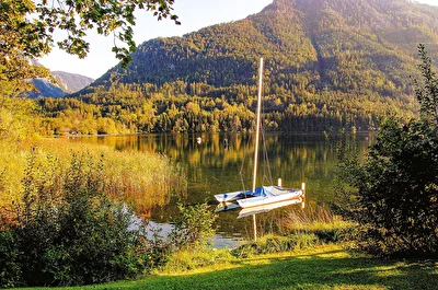 Boote