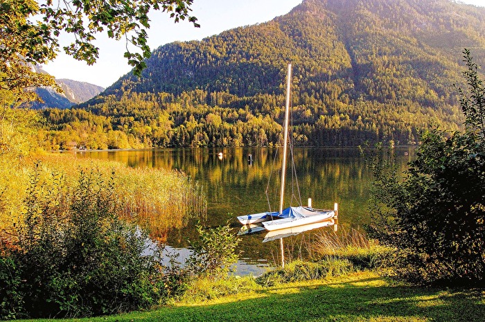 Boote