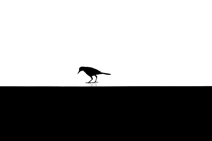 Minimalismus - Licht und Schatten