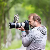 Profilfoto