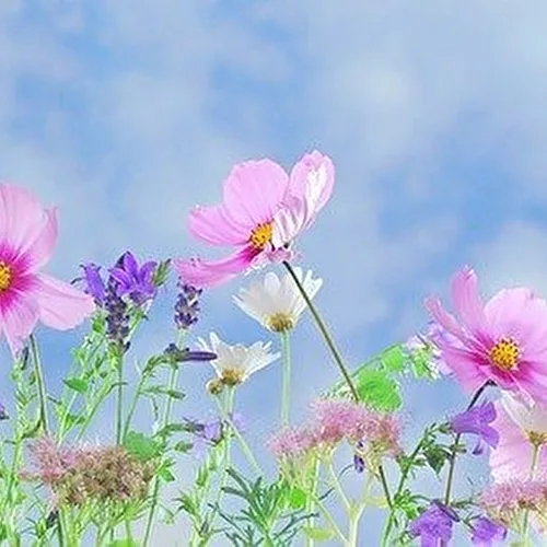 Fotowettbewerb "Sommer"