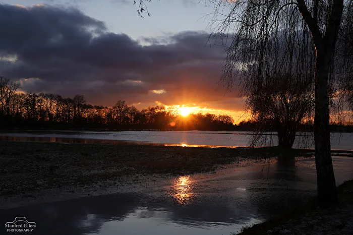 Am Dümmer wo sonst Weideland ist