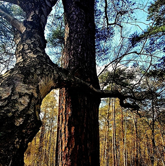 With a little help from my friends