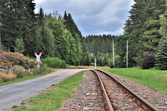 " Zwei Wege - ein Ziel "