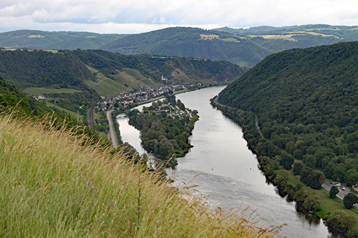 Moselinsel
