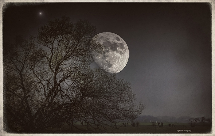 The moon in the sky shines for you