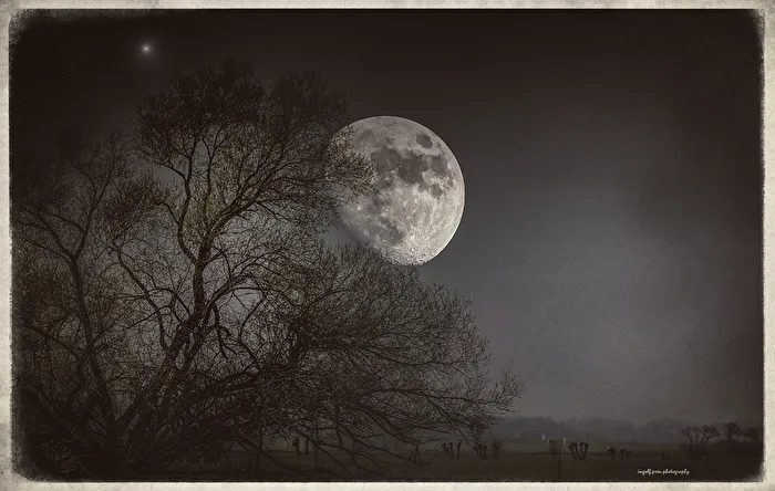 The moon in the sky shines for you