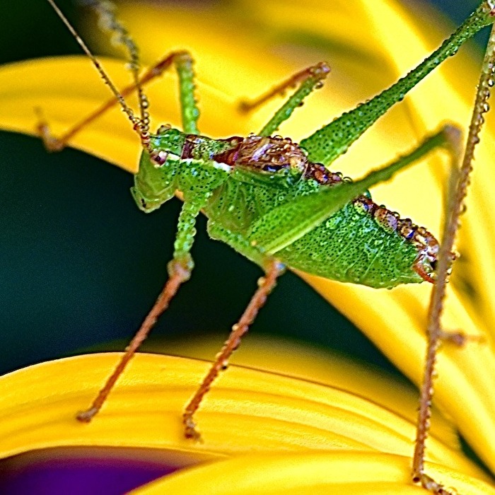 Nass geworden, der Kleine 😊