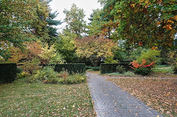 Autumn walk through the park