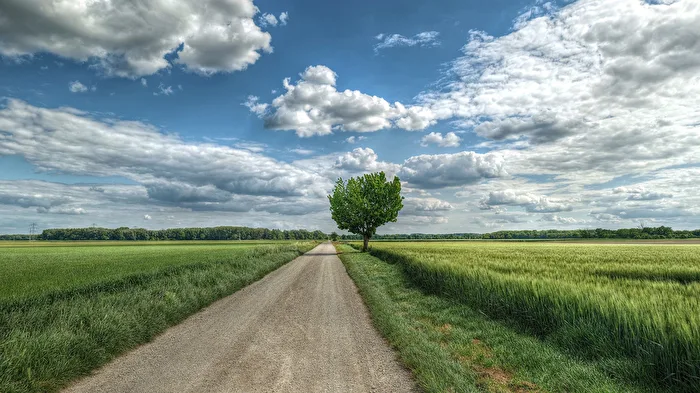 Big Skies     ( Marchfeld/ Niederösterreich )