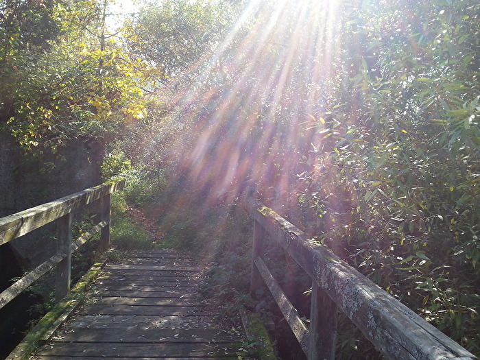 Mystisch
