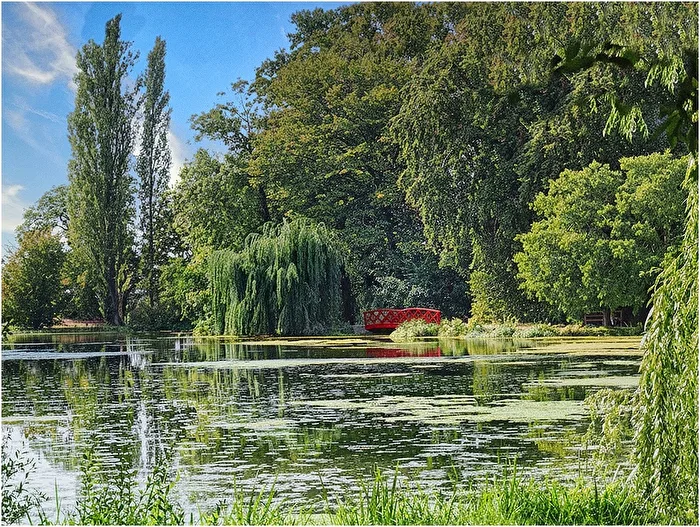 Park landscape