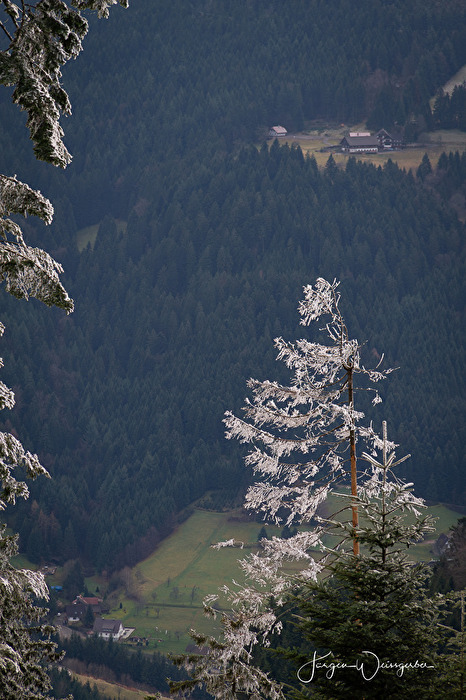 Frostige Stille