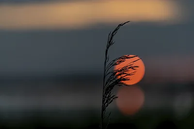 ohne Titel