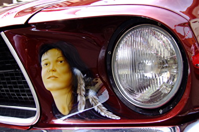 Das Auge des Mustang`s