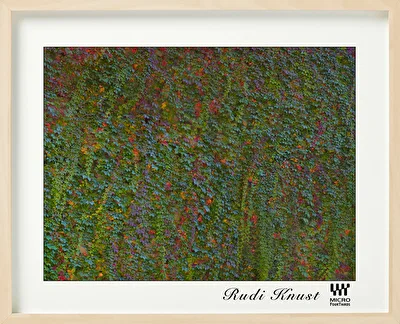 ohne Titel