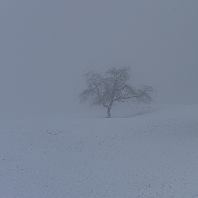 im Nebel versunken_2