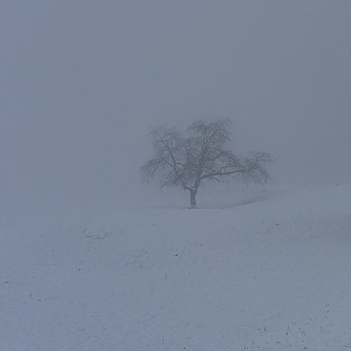 im Nebel versunken_2