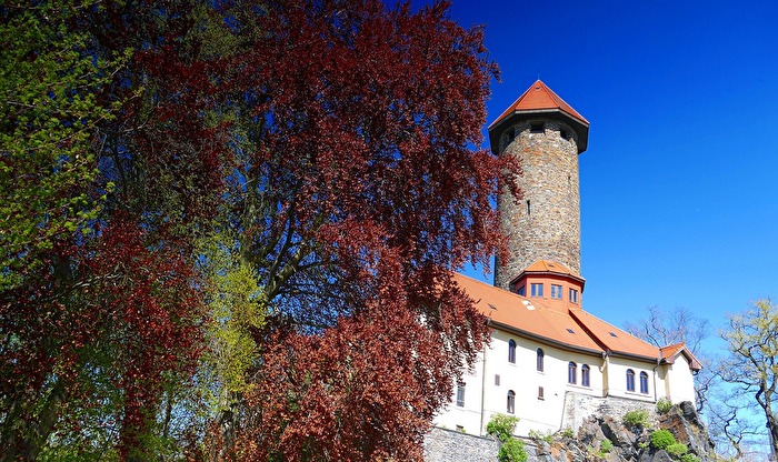 Schloss Auerbach-Vogtland