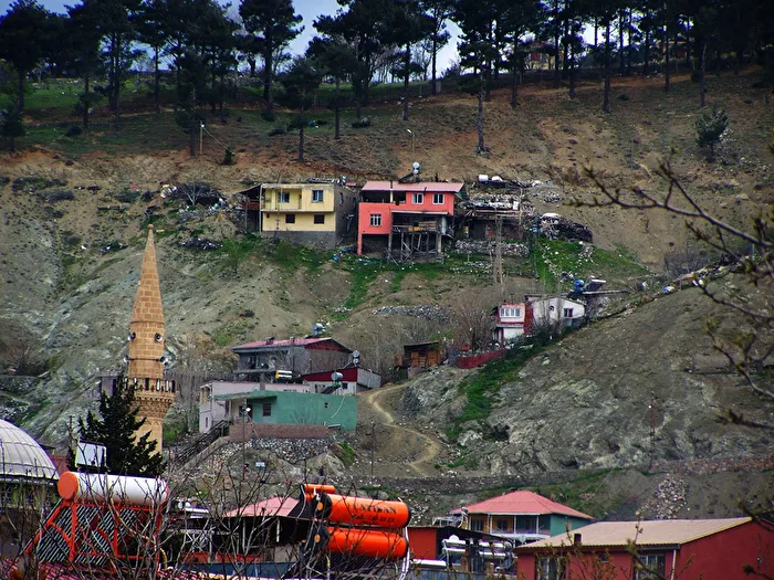 Houses on the Slope