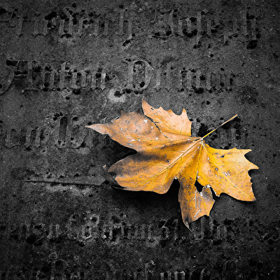 Am Ende wartet der Tod...