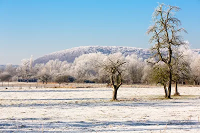 Frost-Sonne