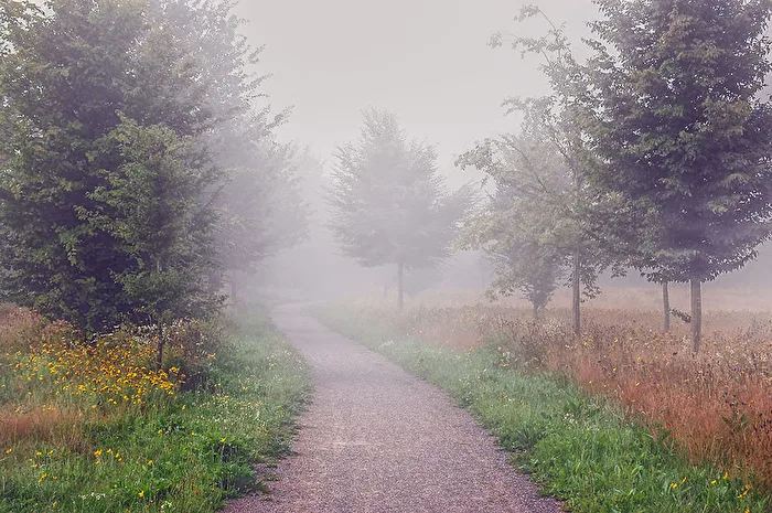 Autumn impression