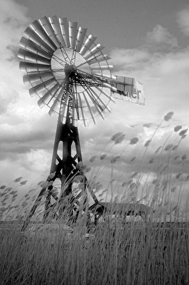 Der Wind, der Wind ...