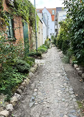 Pflasterstein / Katergang Warnemünde