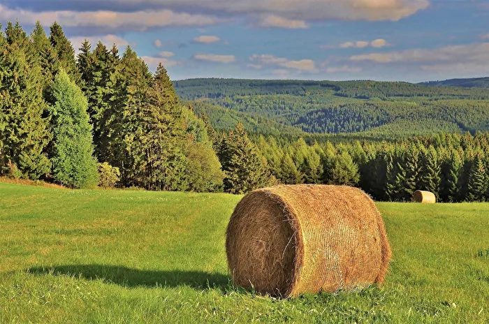 " Meine alte Heimat im Abendlicht "