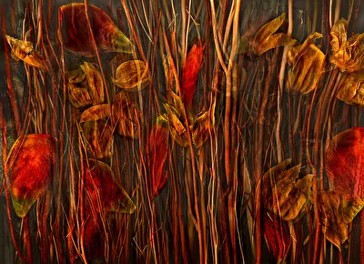Herbstbewegung
