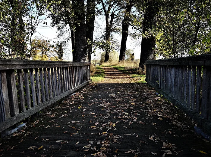 herbstlich